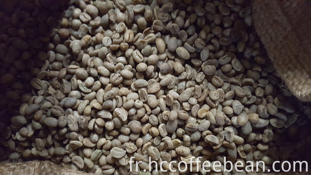 Grains de café d'Ethiopie, grains de café verts, grains de café crus, usine de café